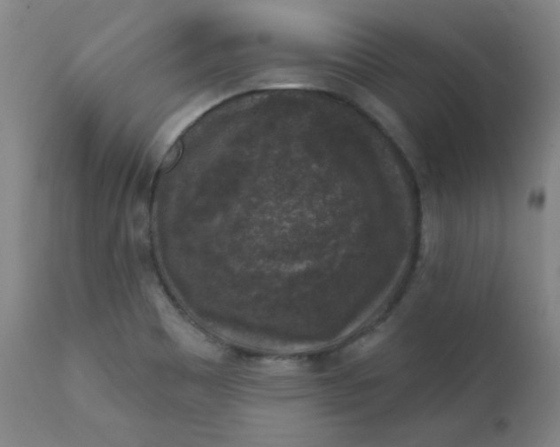 X0000112421465200909041401