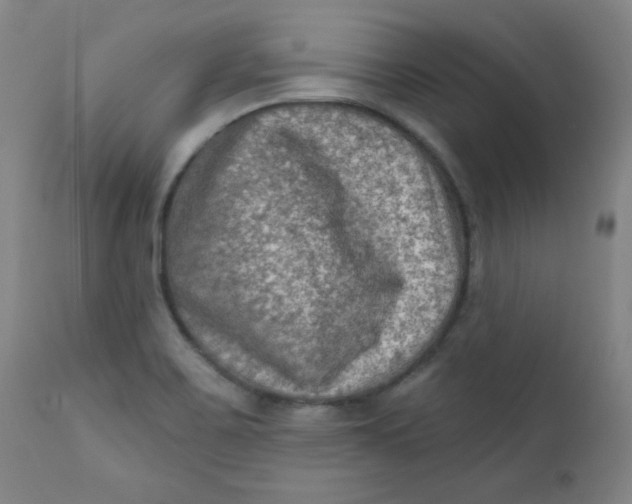 X0000112421467200909041401