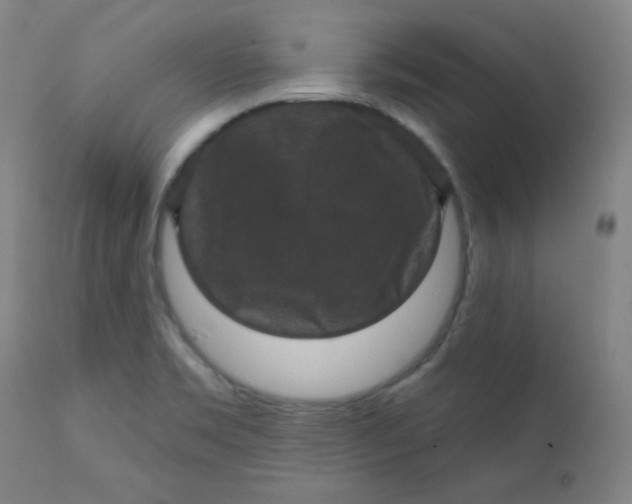 X0000112421469200909041401