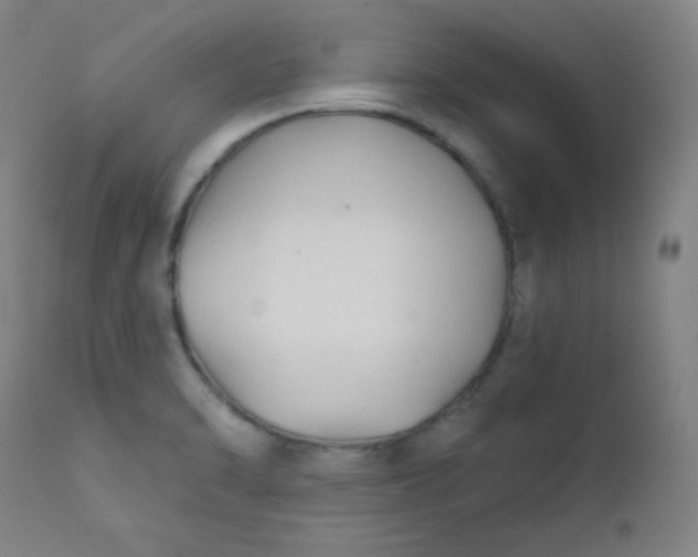 X0000112421470200909041401