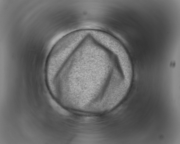 X0000112421471200909041401