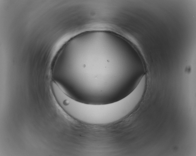 X0000112421472200909041401