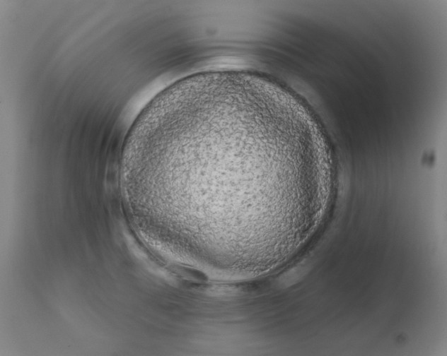 X0000112421473200909041401