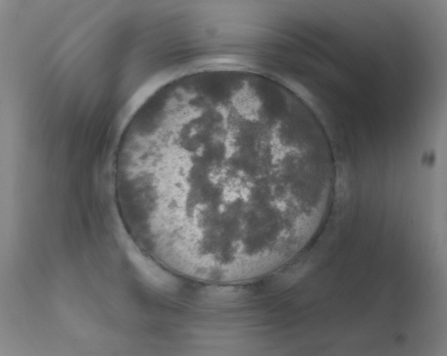 X0000112421474200909041401