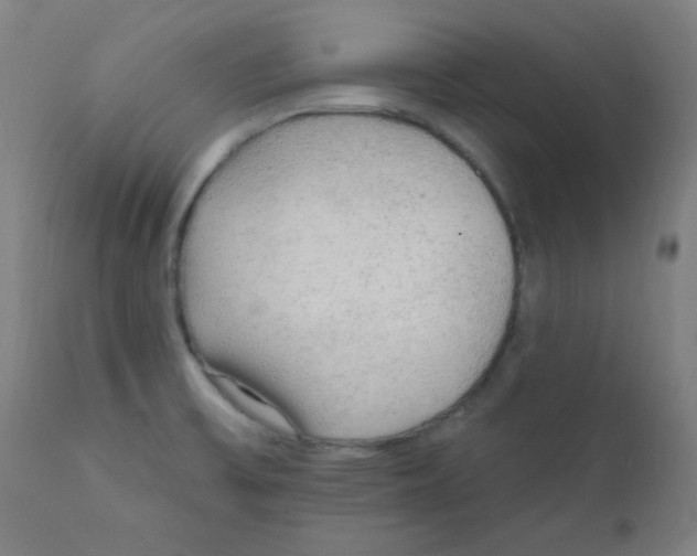 X0000112421475200909041401