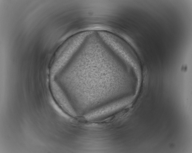 X0000112421476200909041401