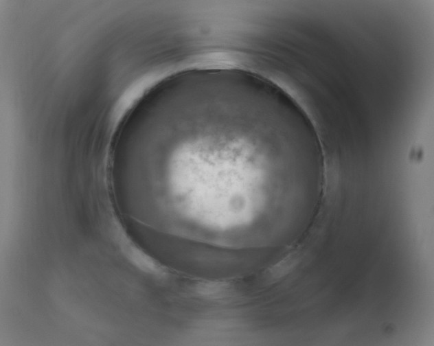 X0000112421477200909041401