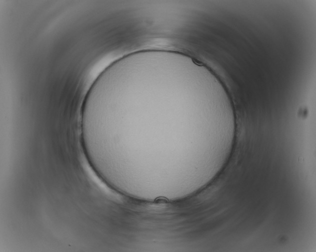 X0000112421479200909041401