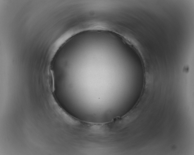 X0000112421480200909041401