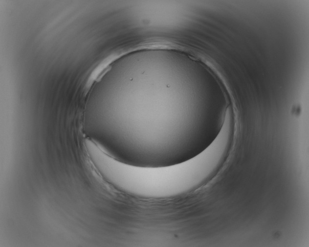 X0000112421481200909041401