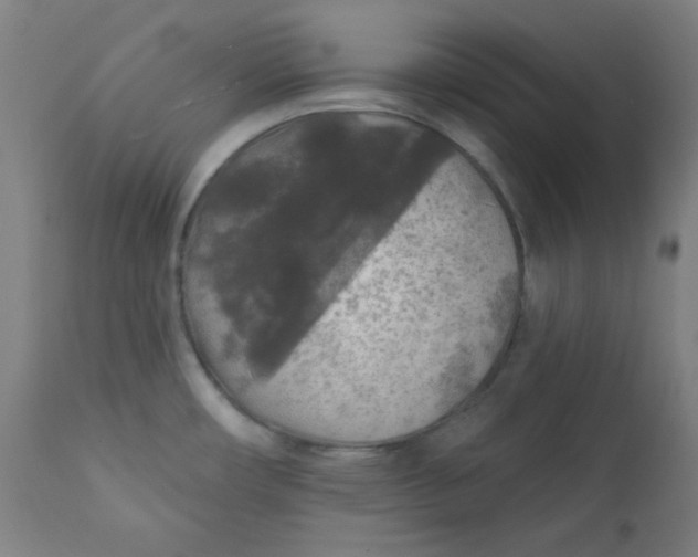 X0000112421482200909041401