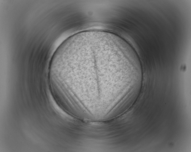 X0000112421483200909041401