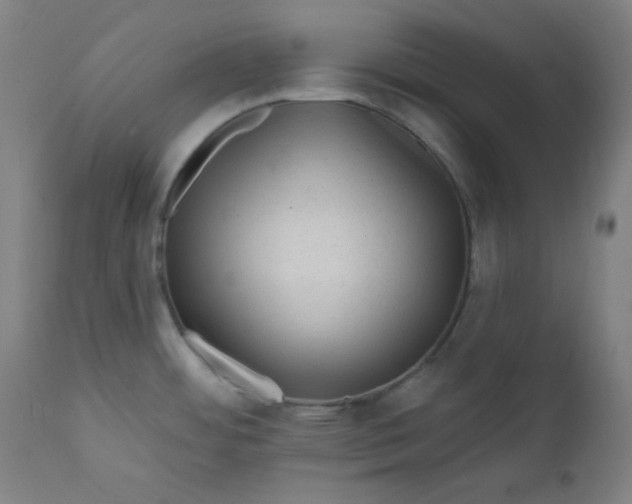 X0000112421484200909041401