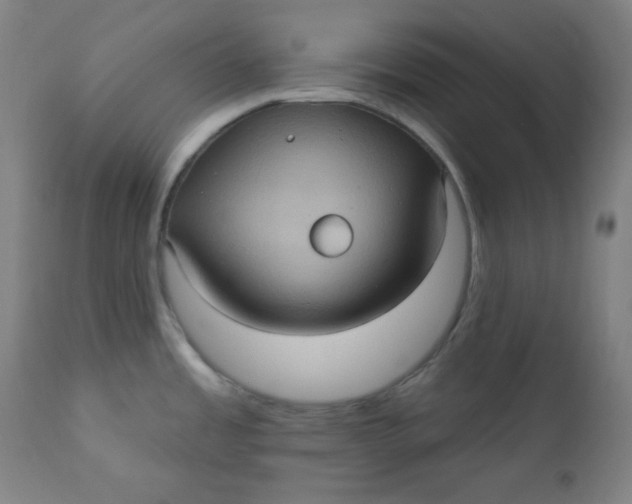 X0000112421485200909041401