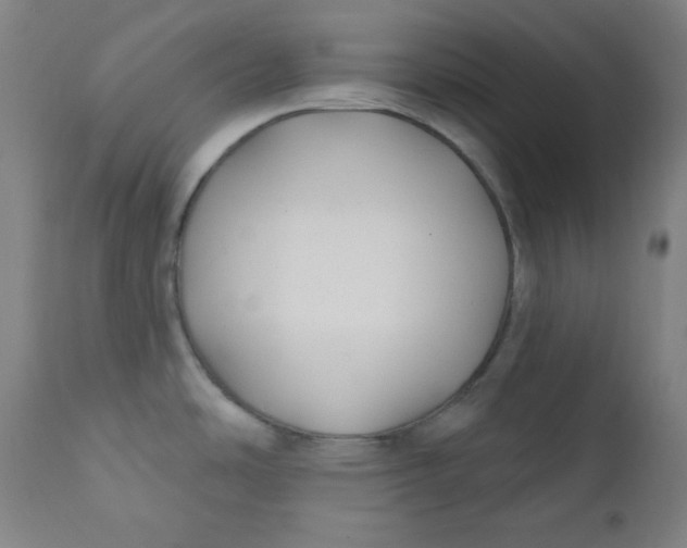 X0000112421486200909041401