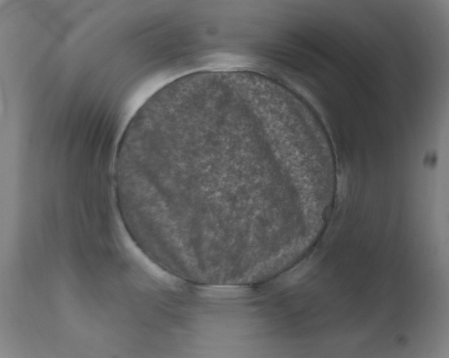 X0000112421487200909041401