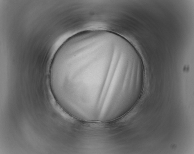 X0000112421488200909041401