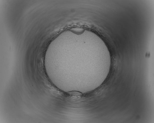 X0000112421489200909041400