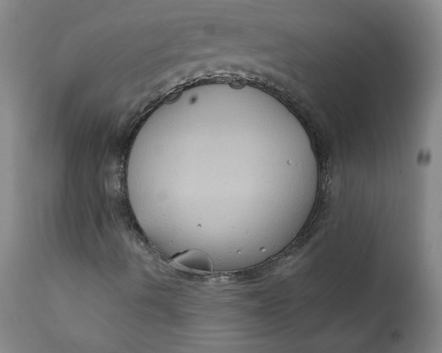 X0000112421490200909041400