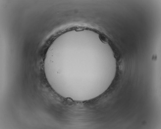 X0000112421495200909041400