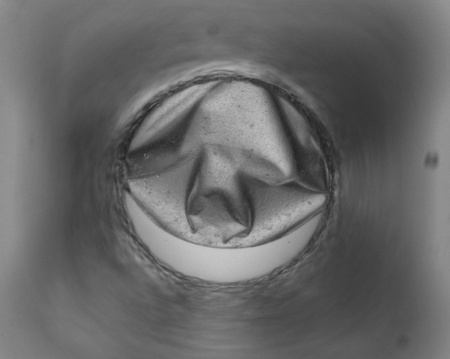 X0000112421496200909041400