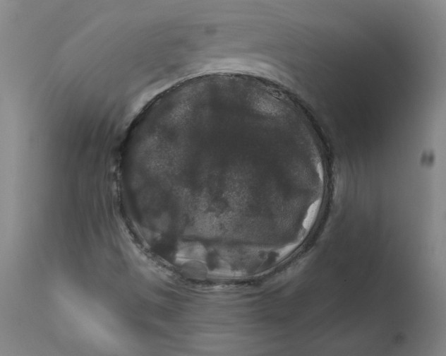 X0000112421497200909041400