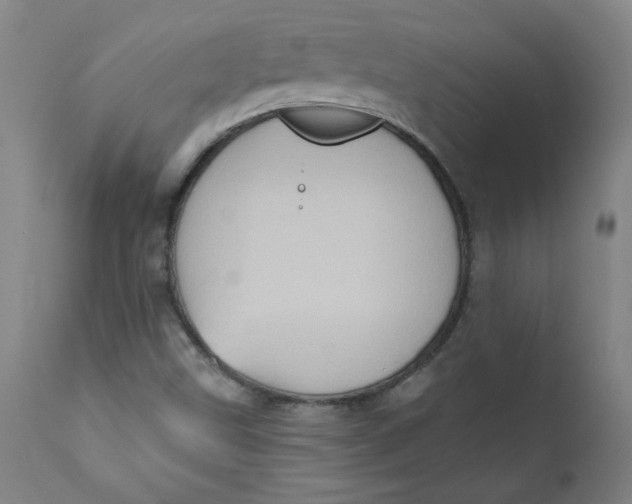 X0000112421499200909041400