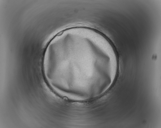 X0000112421500200909041400