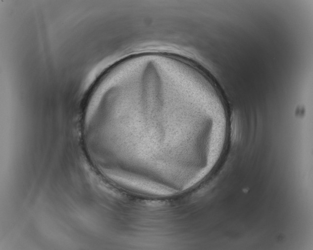 X0000112421501200909041400