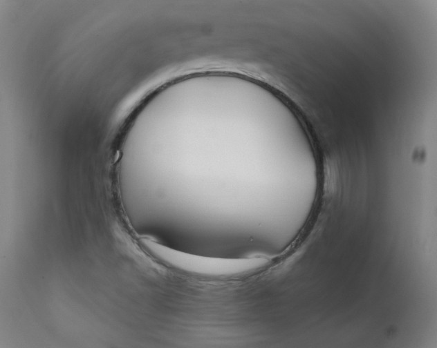 X0000112421502200909041400