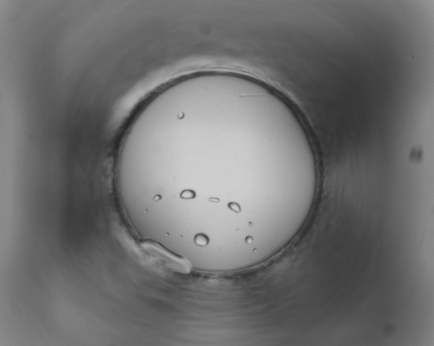 X0000112421503200909041400