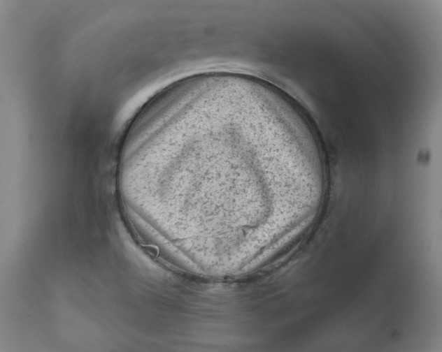 X0000112421504200909041400