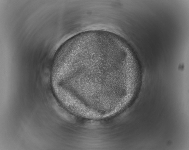 X0000112421505200909041400