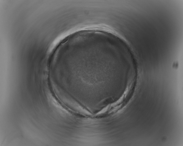 X0000112421506200909041400