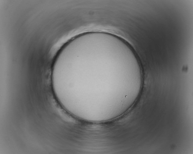 X0000112421507200909041400