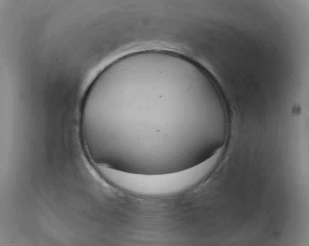 X0000112421508200909041400