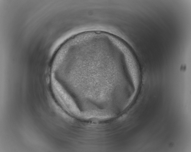 X0000112421510200909041400