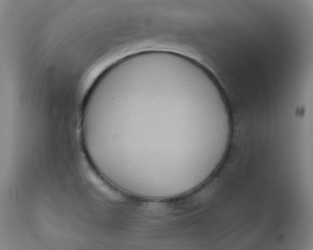 X0000112421511200909041400