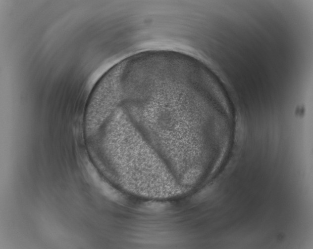 X0000112421513200909041400