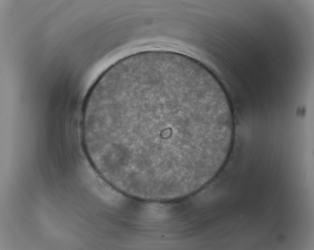 X0000112421514200909041400