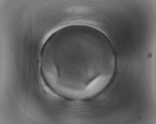 X0000112421515200909041400