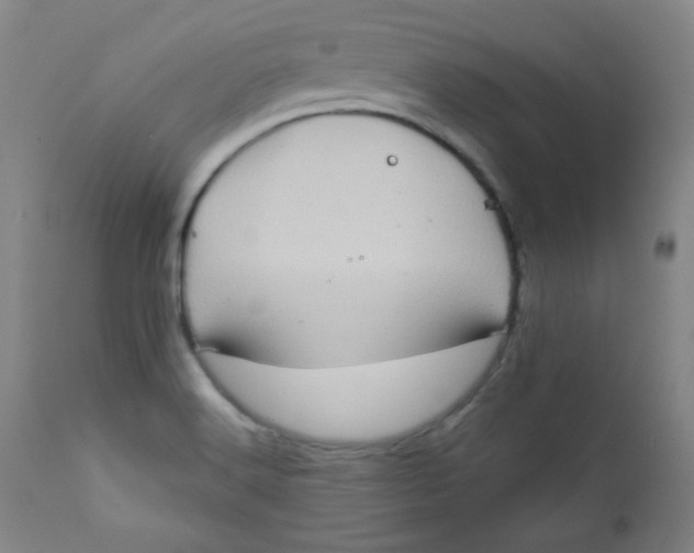 X0000112421516200909041400