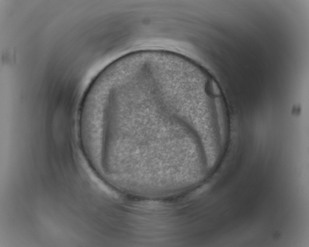 X0000112421517200909041400