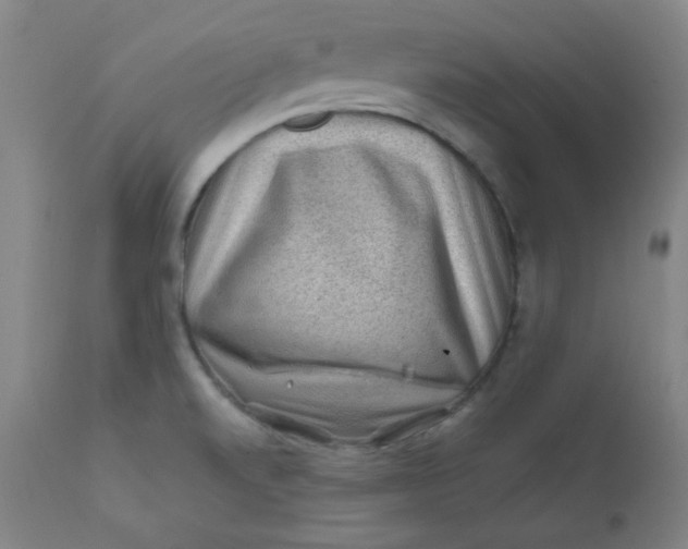 X0000112421520200909041400