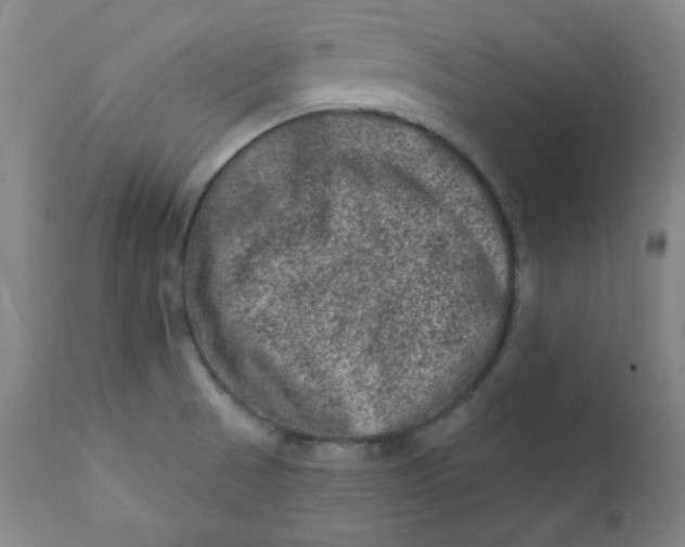 X0000112421521200909041400