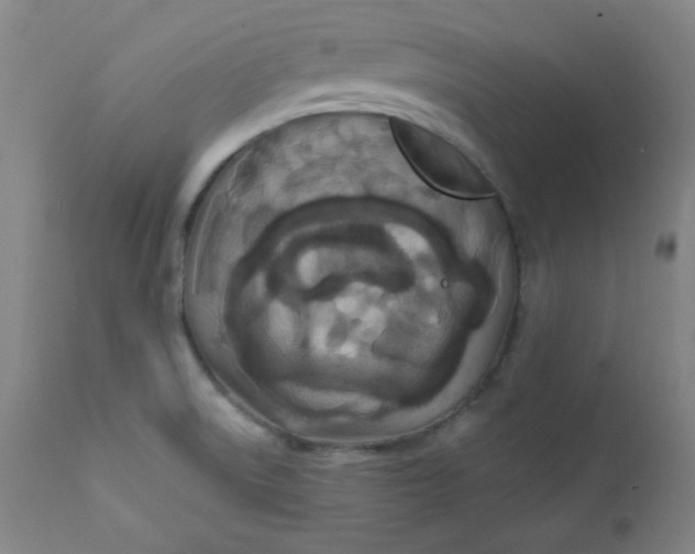 X0000112421522200909041400