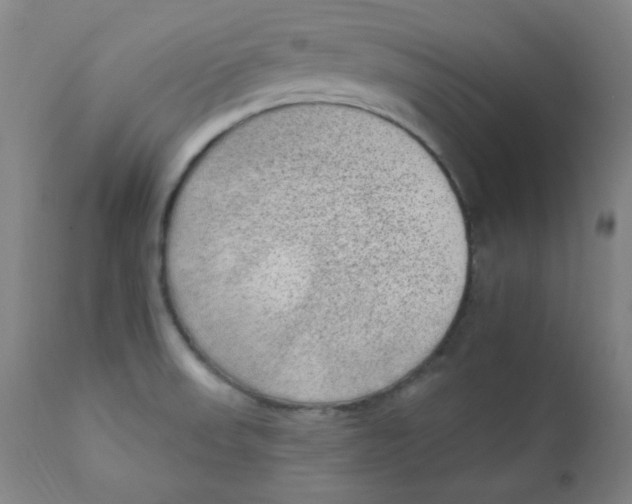 X0000112421523200909041400