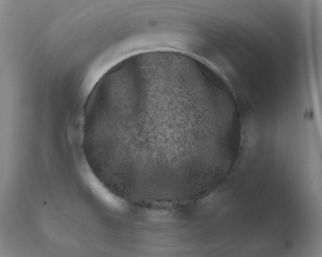 X0000112421524200909041400