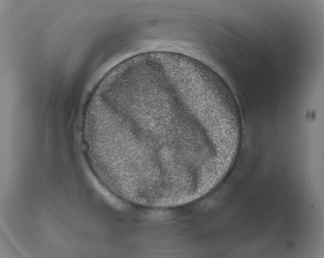 X0000112421525200909041400