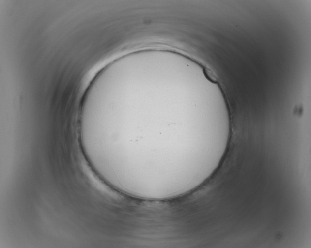 X0000112421526200909041400